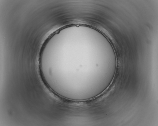 X0000113741133200910140958