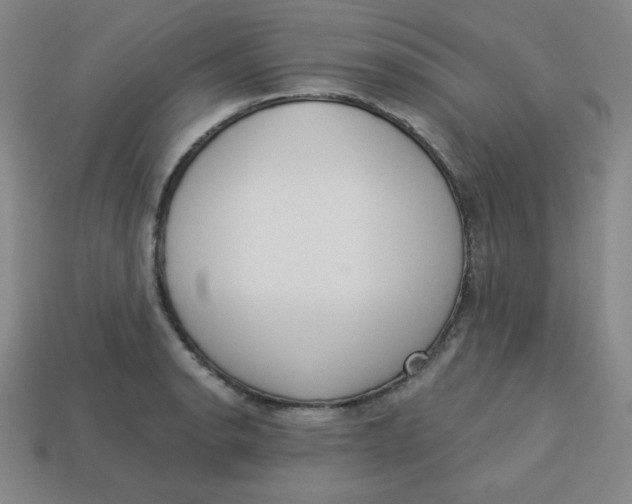 X0000113741134200910140958