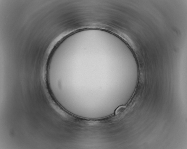 X0000113741136200910140958