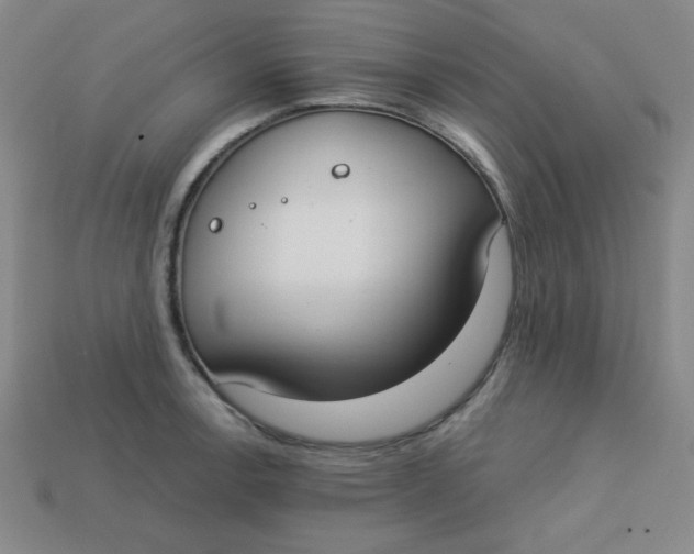 X0000113741138200910140958