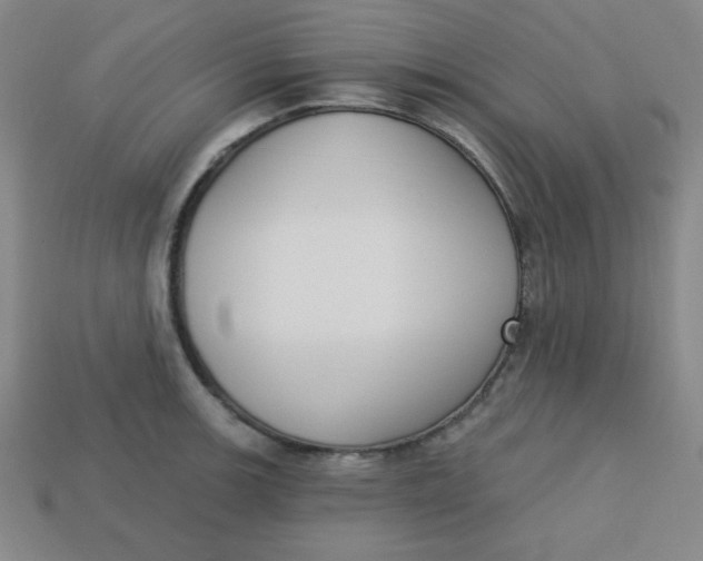 X0000113741139200910140958