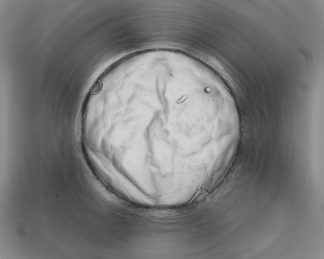 X0000113741140200910140958