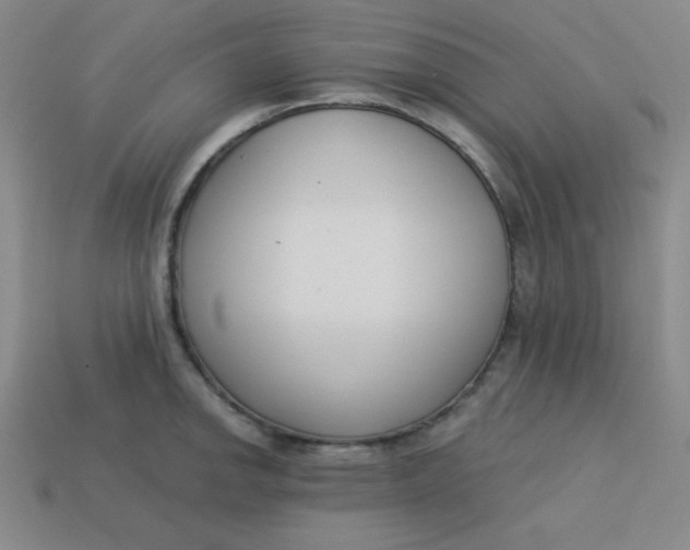 X0000113741142200910140958