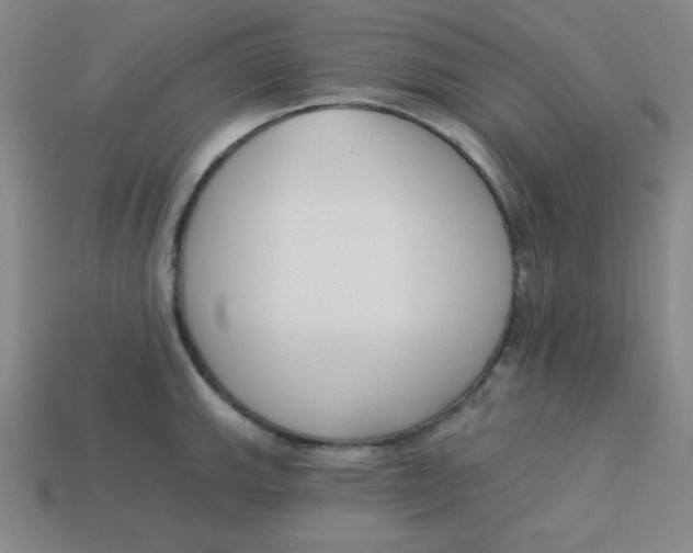 X0000113741143200910140958