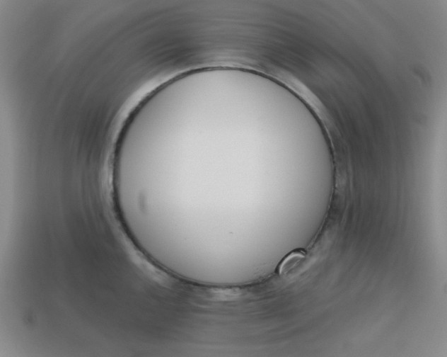 X0000113741144200910140958