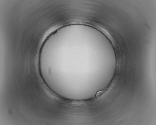 X0000113741146200910140958