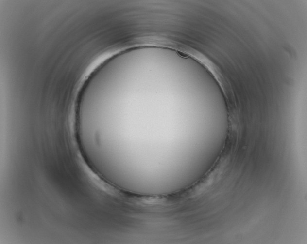 X0000113741147200910140958