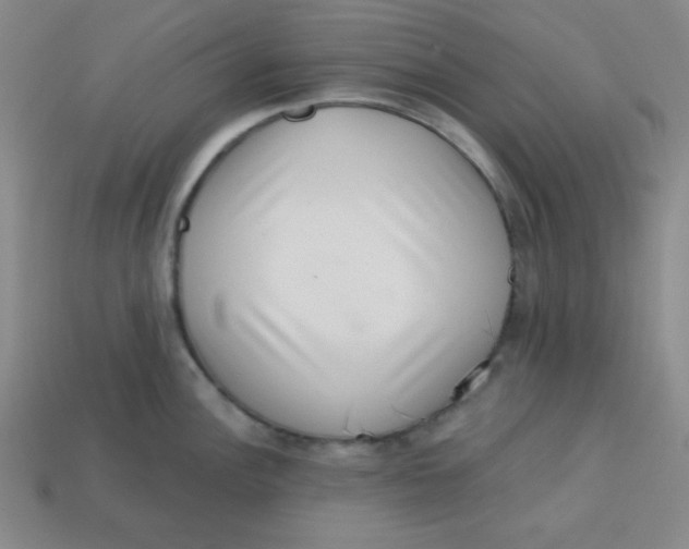 X0000113741148200910140958