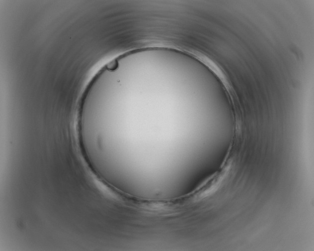 X0000113741149200910140958