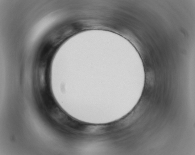 X0000113741150200910140958