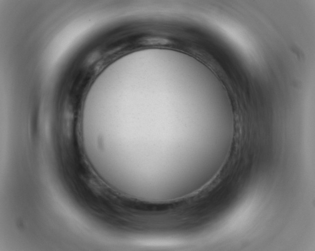 X0000113741151200910140958