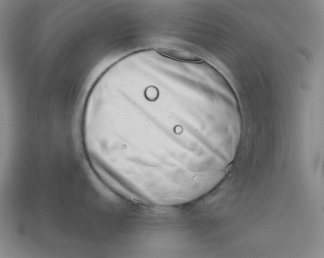 X0000113741152200910140958