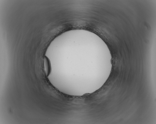 X0000113741153200910140957