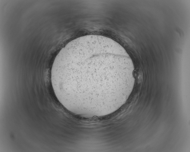 X0000113741156200910140957