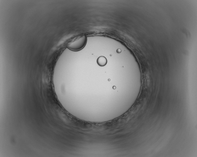 X0000113741158200910140957