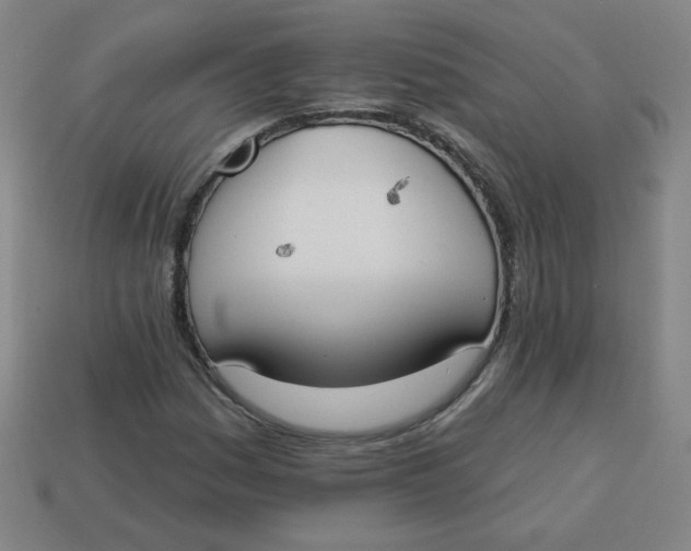 X0000113741161200910140957