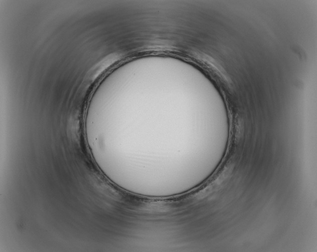 X0000113741162200910140957