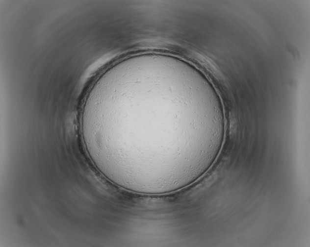 X0000113741164200910140957