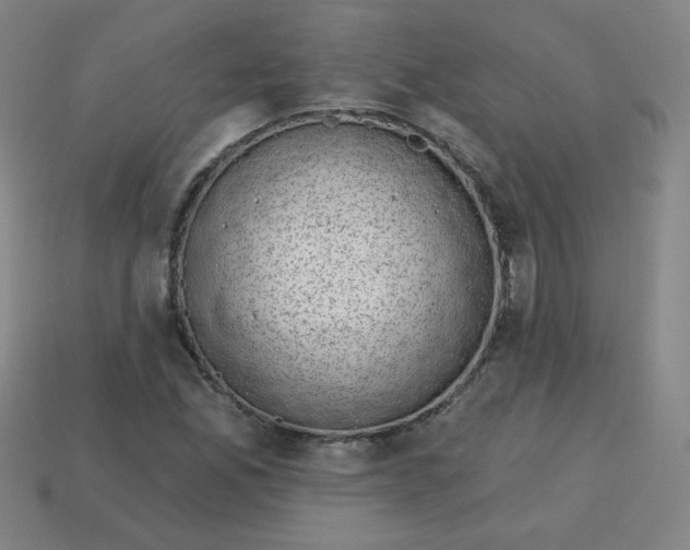 X0000113741165200910140957