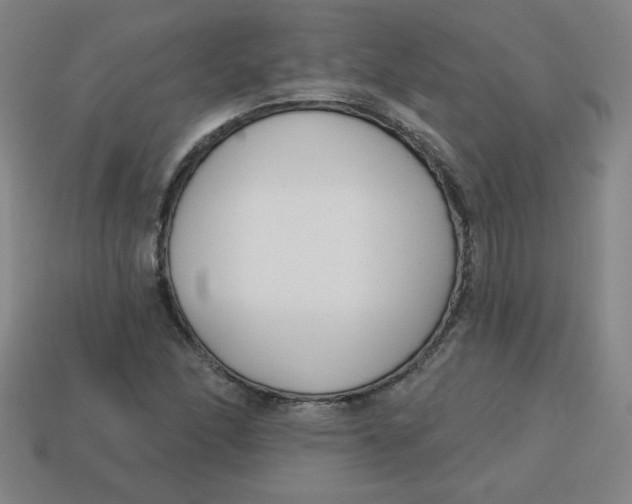 X0000113741166200910140957