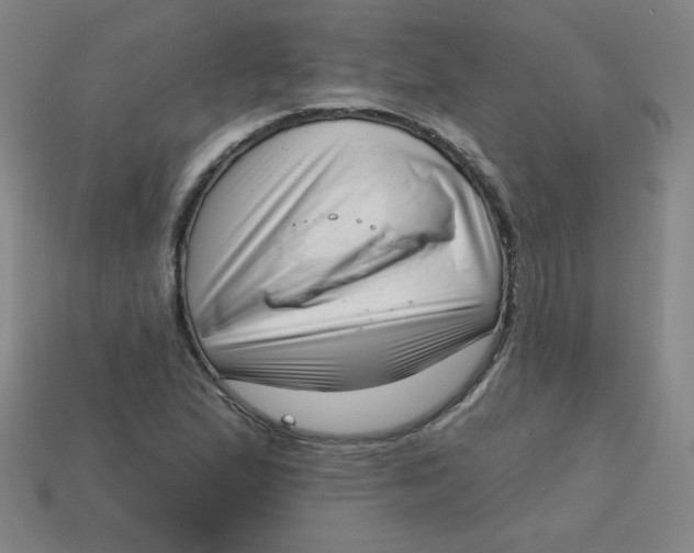 X0000113741167200910140957