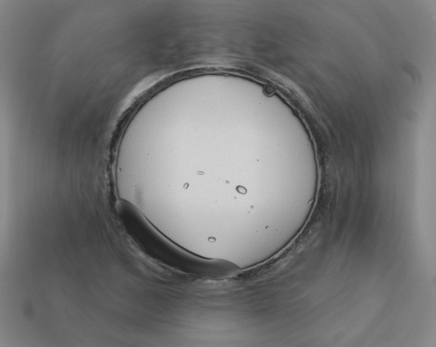 X0000113741168200910140957