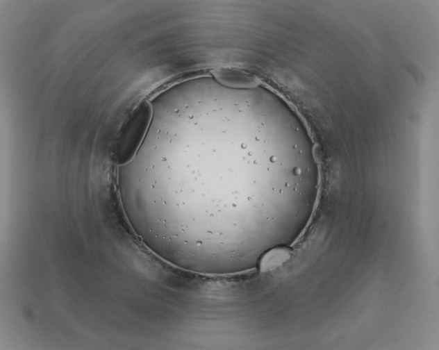 X0000113741169200910140957