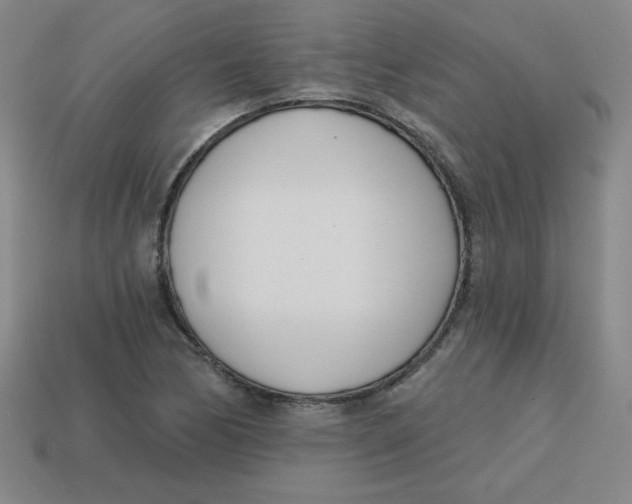 X0000113741170200910140957