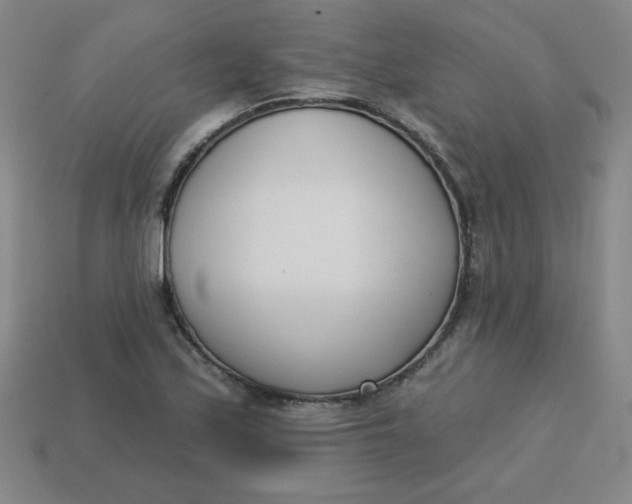 X0000113741171200910140957