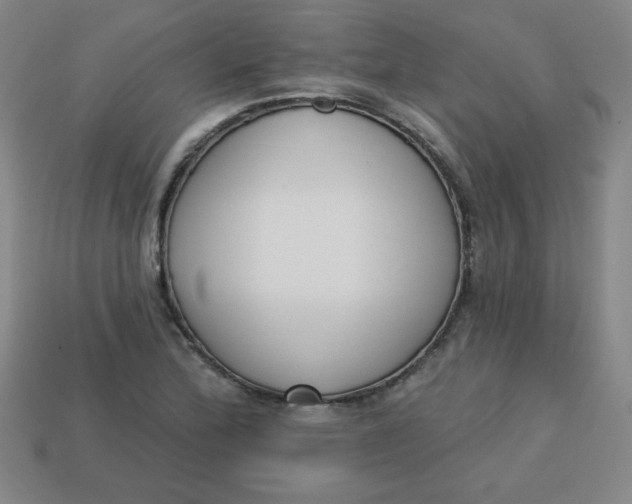 X0000113741172200910140957