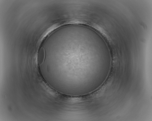 X0000113741173200910140957