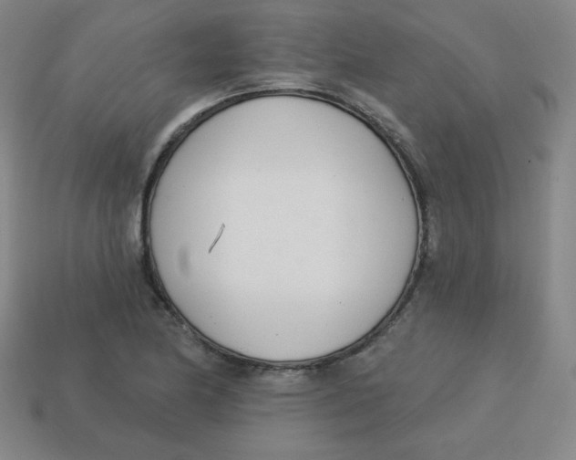 X0000113741174200910140957