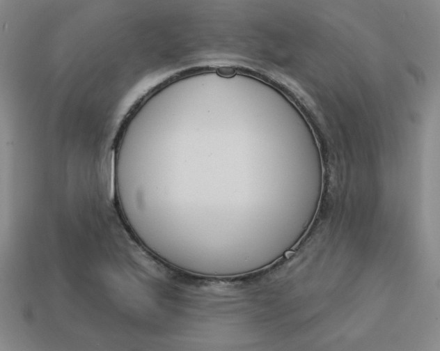 X0000113741175200910140957