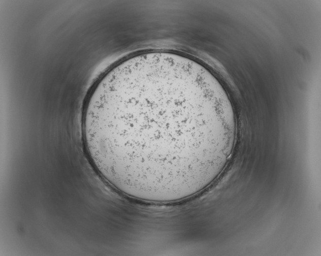 X0000113741176200910140957