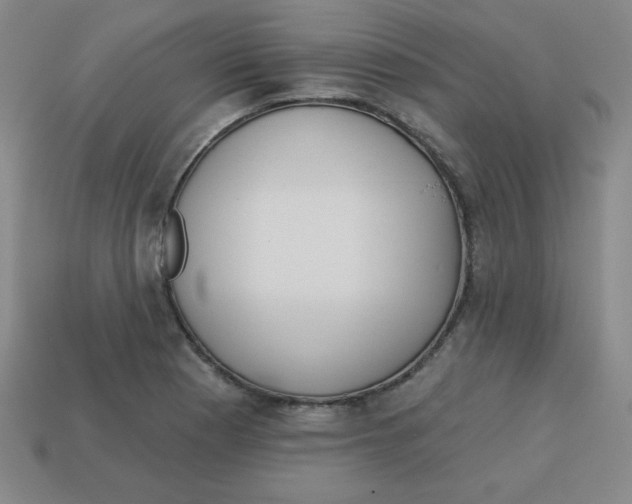 X0000113741177200910140957