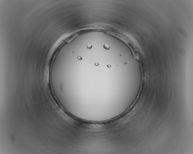 X0000113741180200910140957