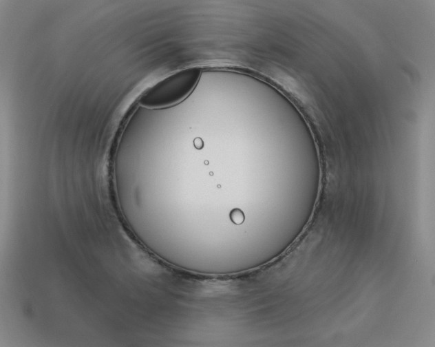 X0000113741181200910140957