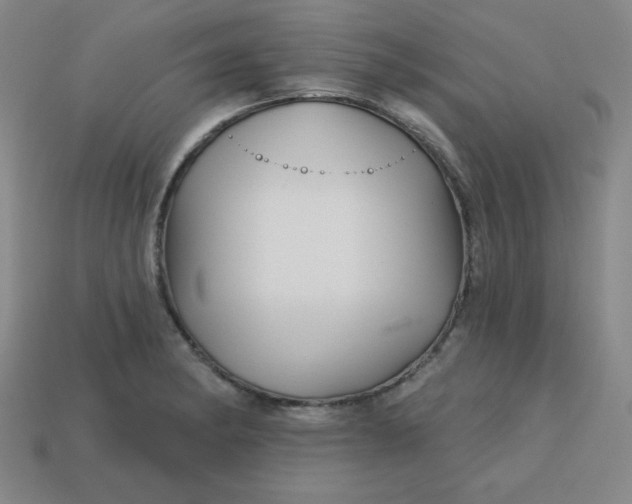 X0000113741182200910140957