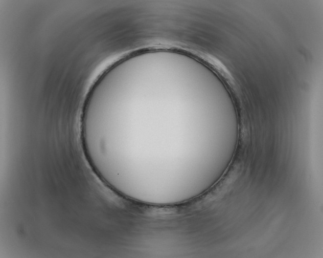 X0000113741183200910140957