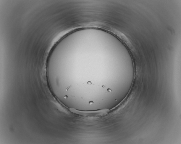 X0000113741184200910140957