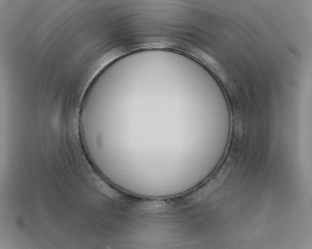 X0000113741186200910140957