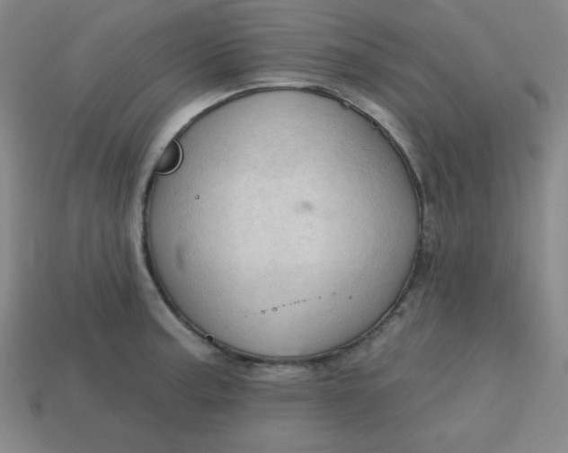 X0000113741187200910140957