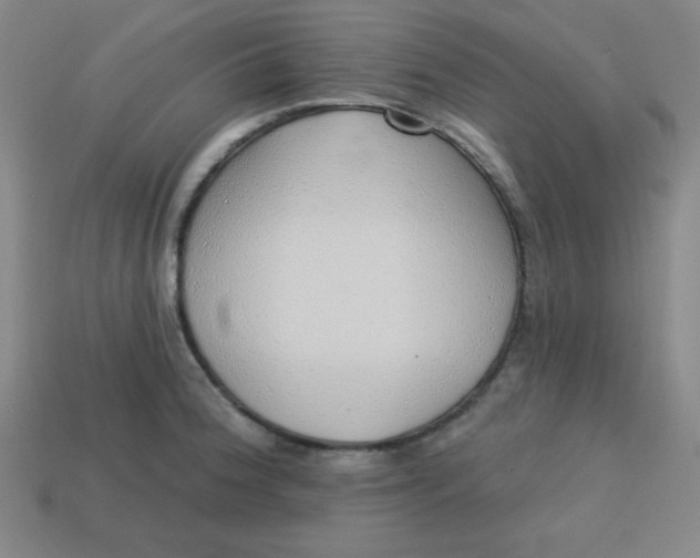 X0000113741188200910140957