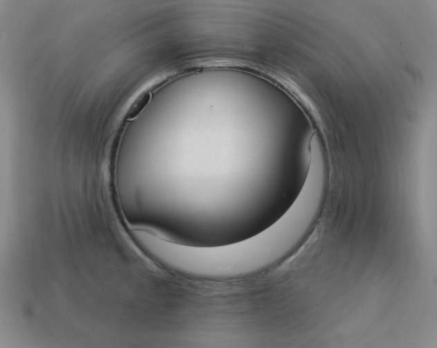 X0000113741189200910140957