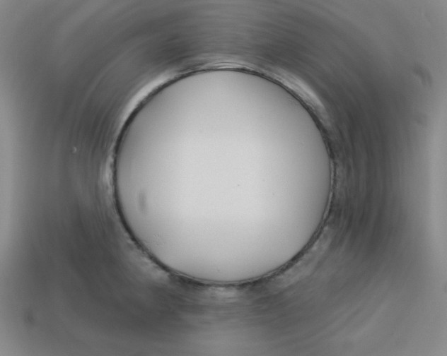 X0000113741190200910140957