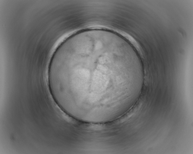 X0000113741191200910140957