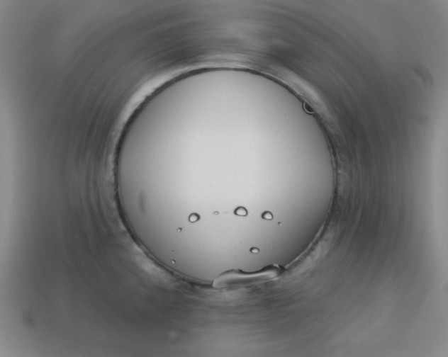 X0000113741192200910140957