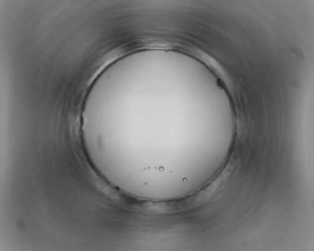 X0000113741194200910140957