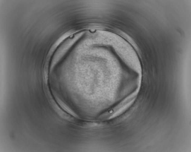 X0000113741195200910140957