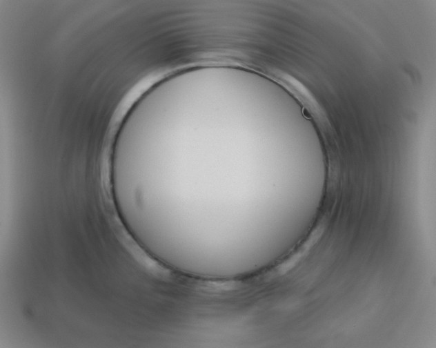 X0000113741196200910140957